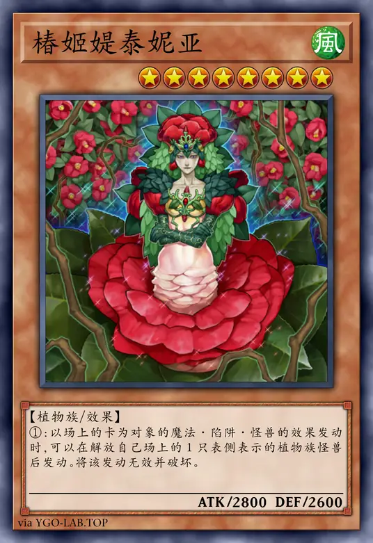 card-image-background