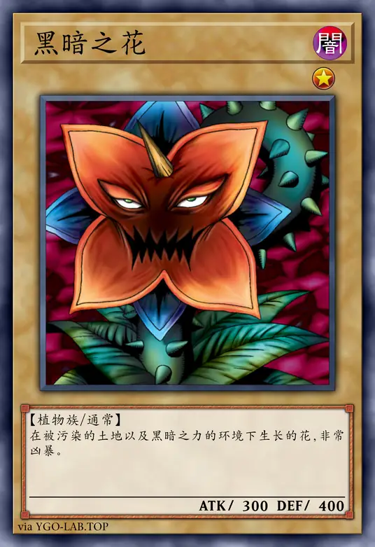 card-image-background