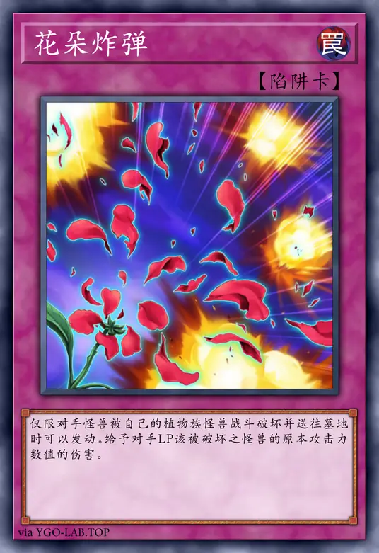 card-image-background