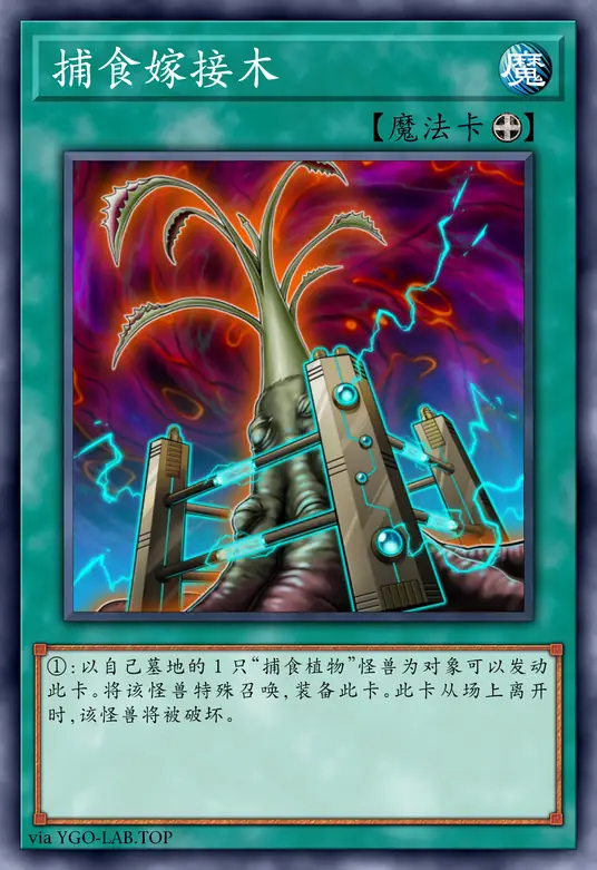 card-image-background