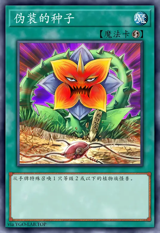 card-image-background