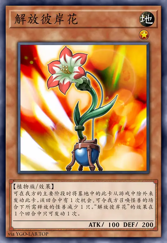 card-image-background