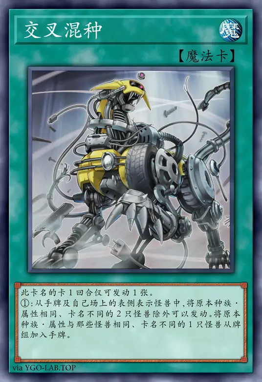 card-image-background