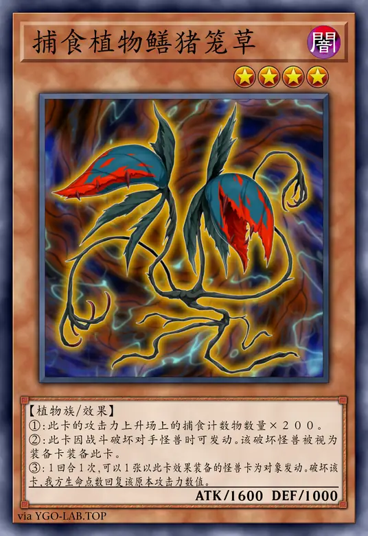 card-image-background