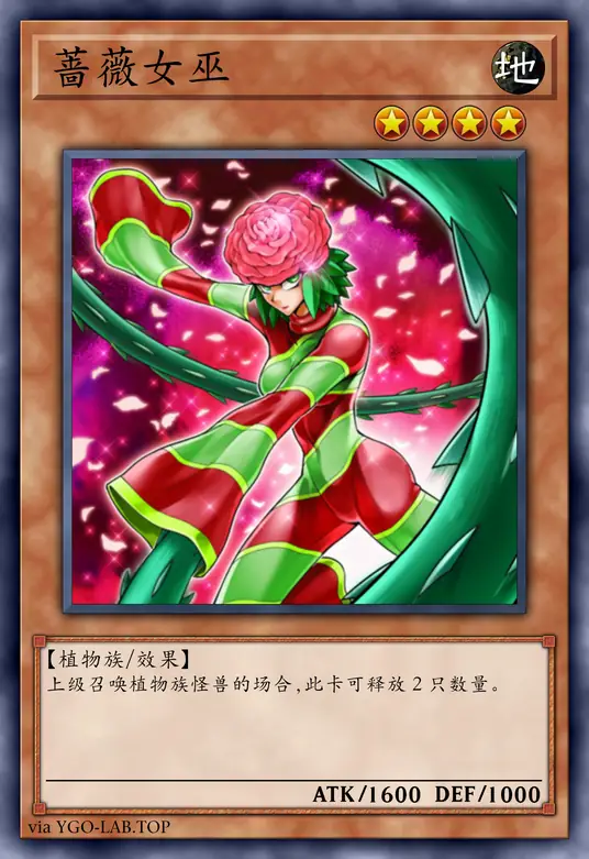 card-image-background