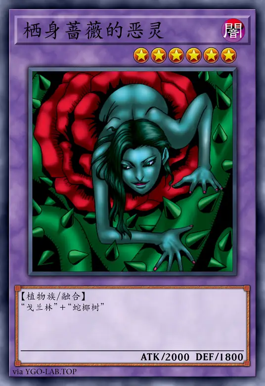 card-image-background