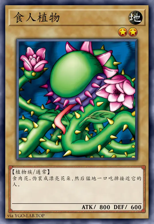 card-image-background