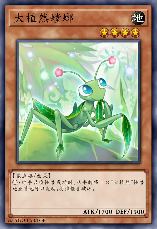 card-image-background