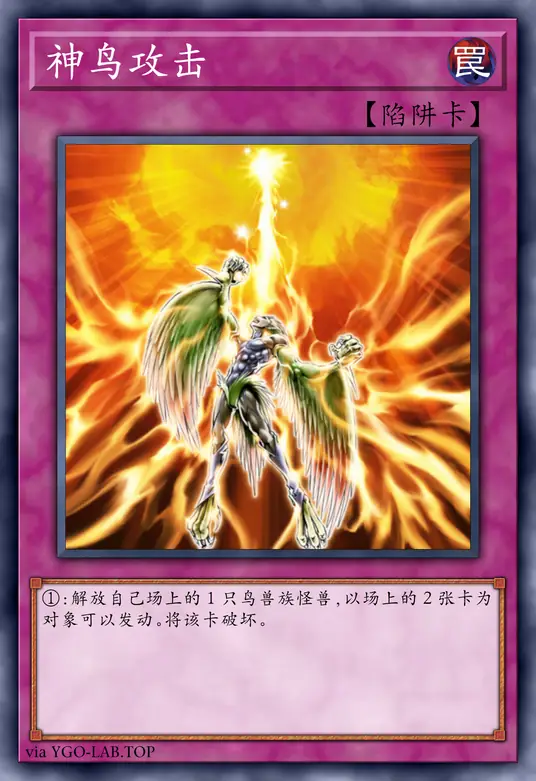 card-image-background