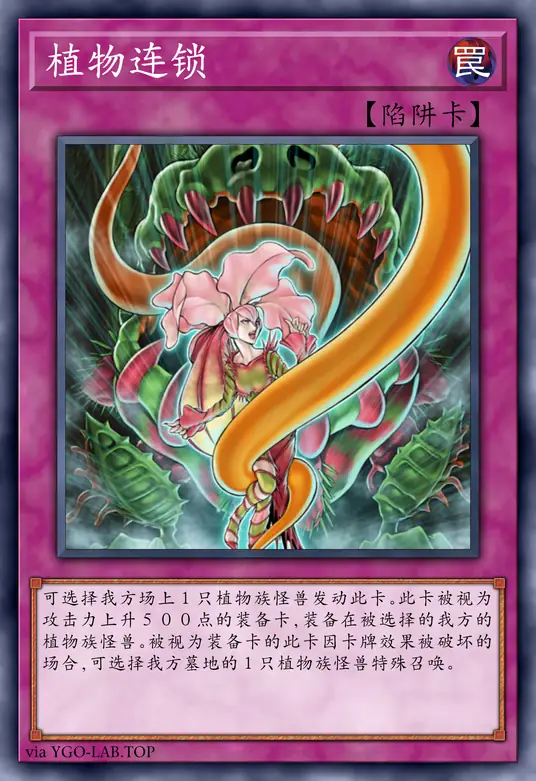 card-image-background