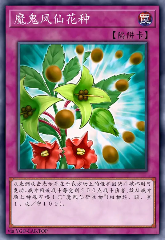 card-image-background