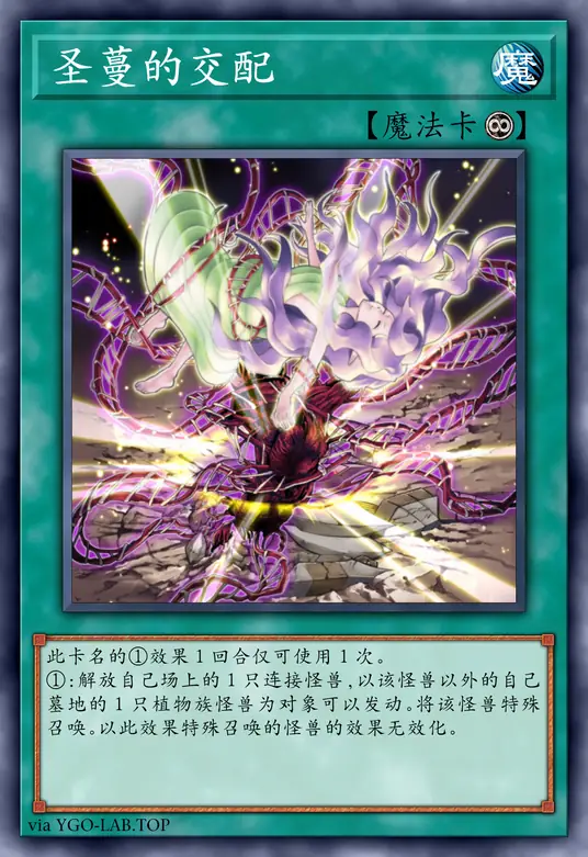 card-image-background