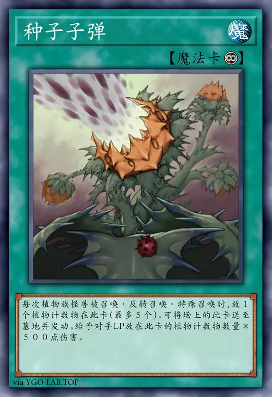 card-image-background