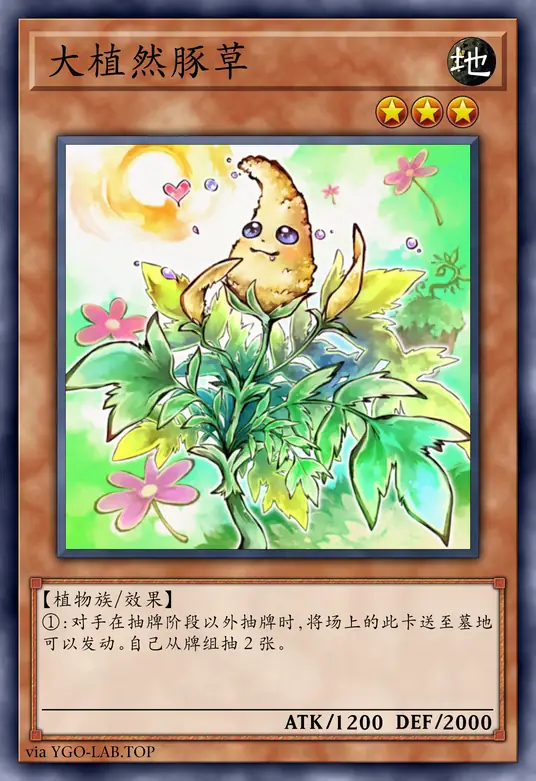 card-image-background