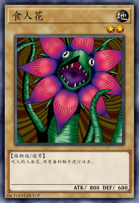 card-image-background