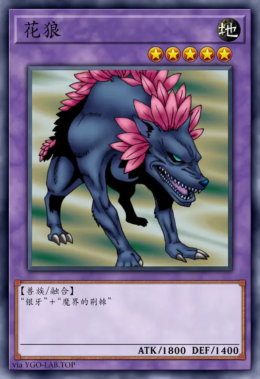 card-image-background