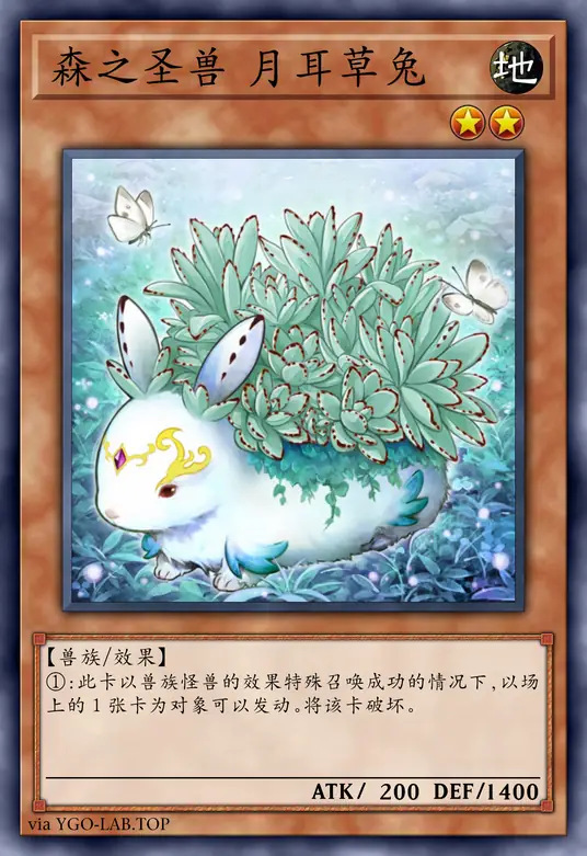 card-image-background