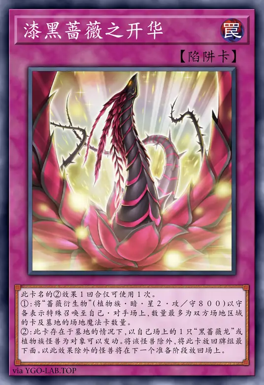 card-image-background